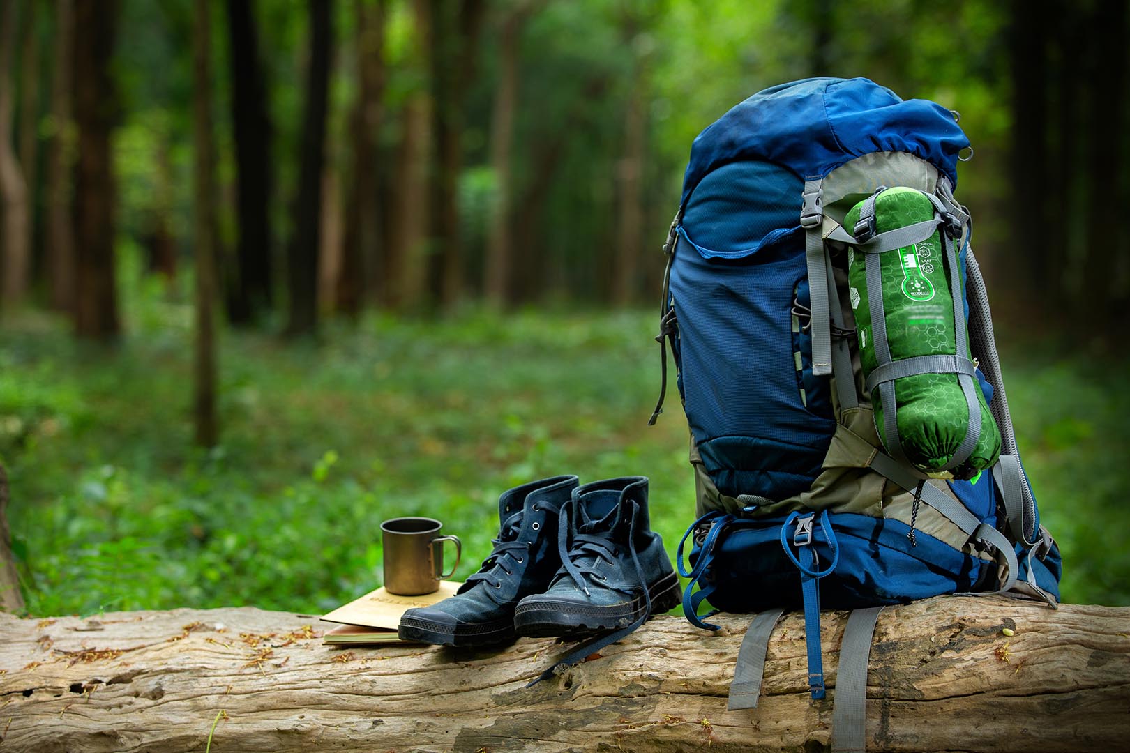 sport shoes and backpack color blue on the timber in the forest,